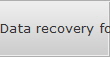 Data recovery for Danville data